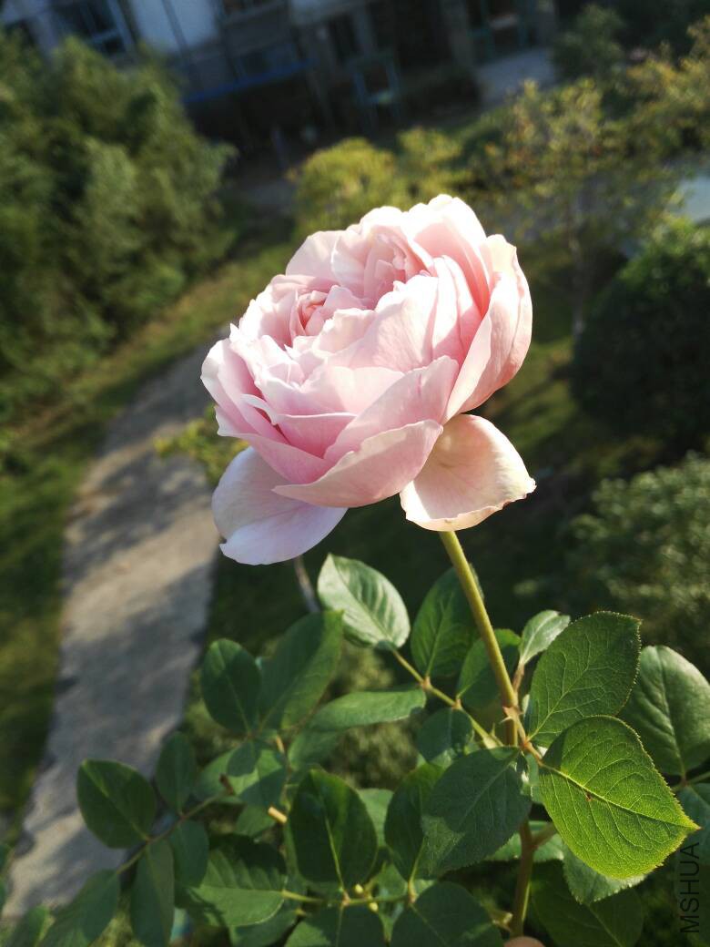 090355ybz862884965iij0.jpg
