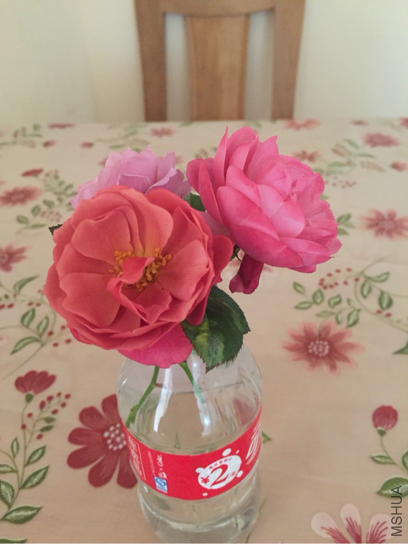 131035hb5mbbeoaapqpoqm.jpg