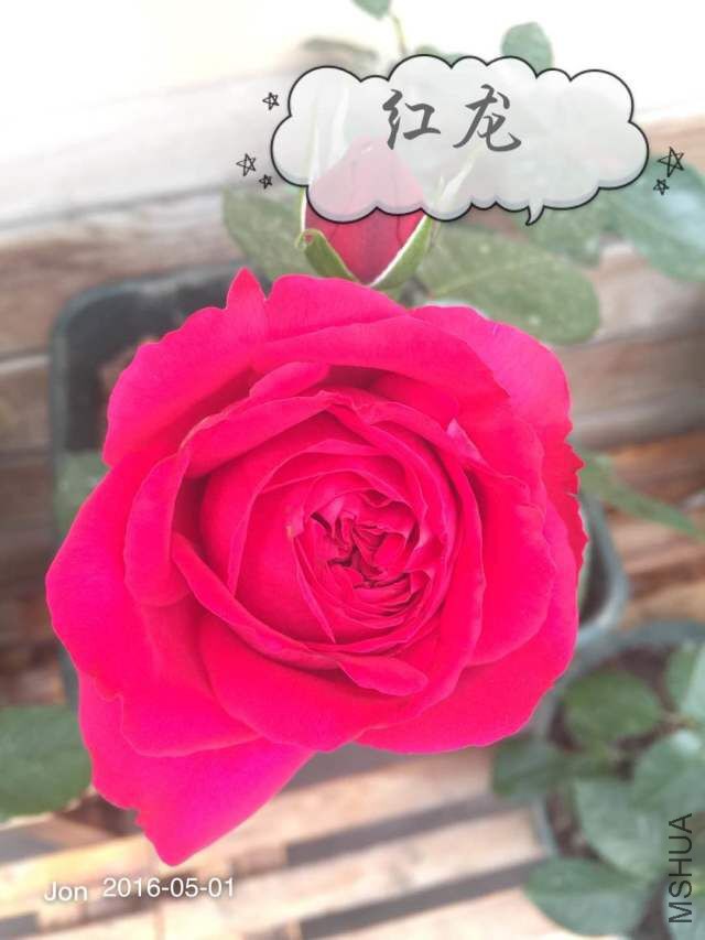 ����.jpg