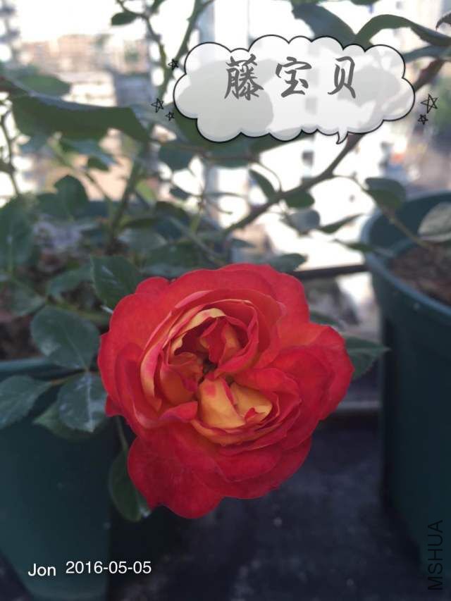 �ٱ���.jpg