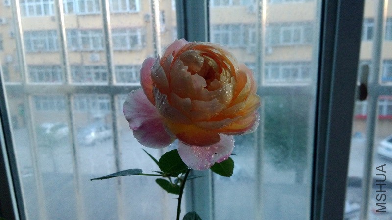 20161031_04.jpg