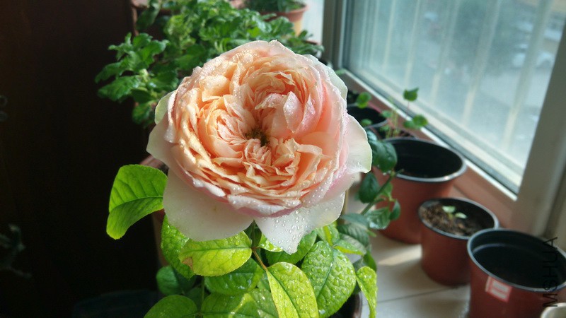 20161011_10.jpg