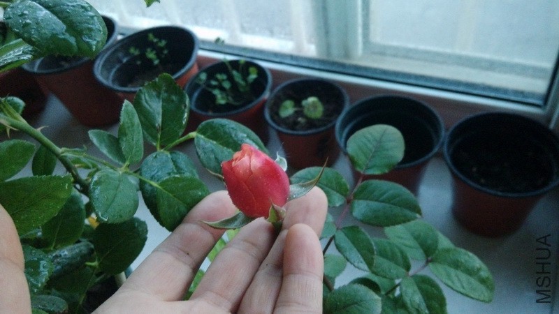 20161031_07.jpg