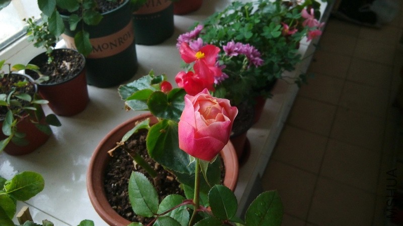 20161106_06.jpg