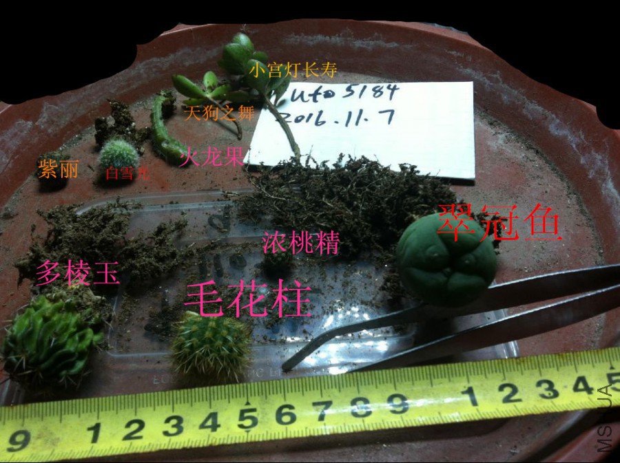 QQͼƬ20161107080754.jpg