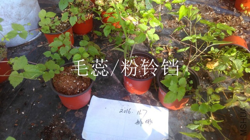 QQͼƬ20161107091331.jpg