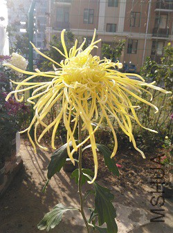 �����㣬��˵���Ҳ�������ˣ�����ֱ������