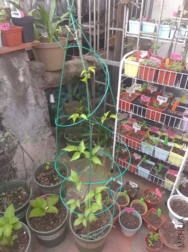 739367306324780632.jpg