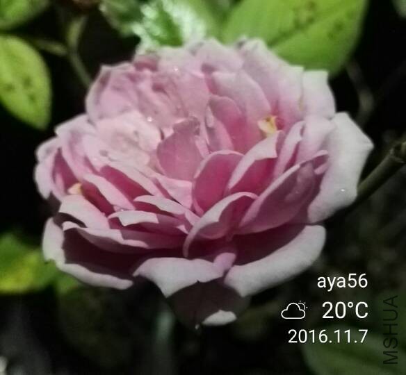 124521kjm9nqyzmyooi9er.jpg