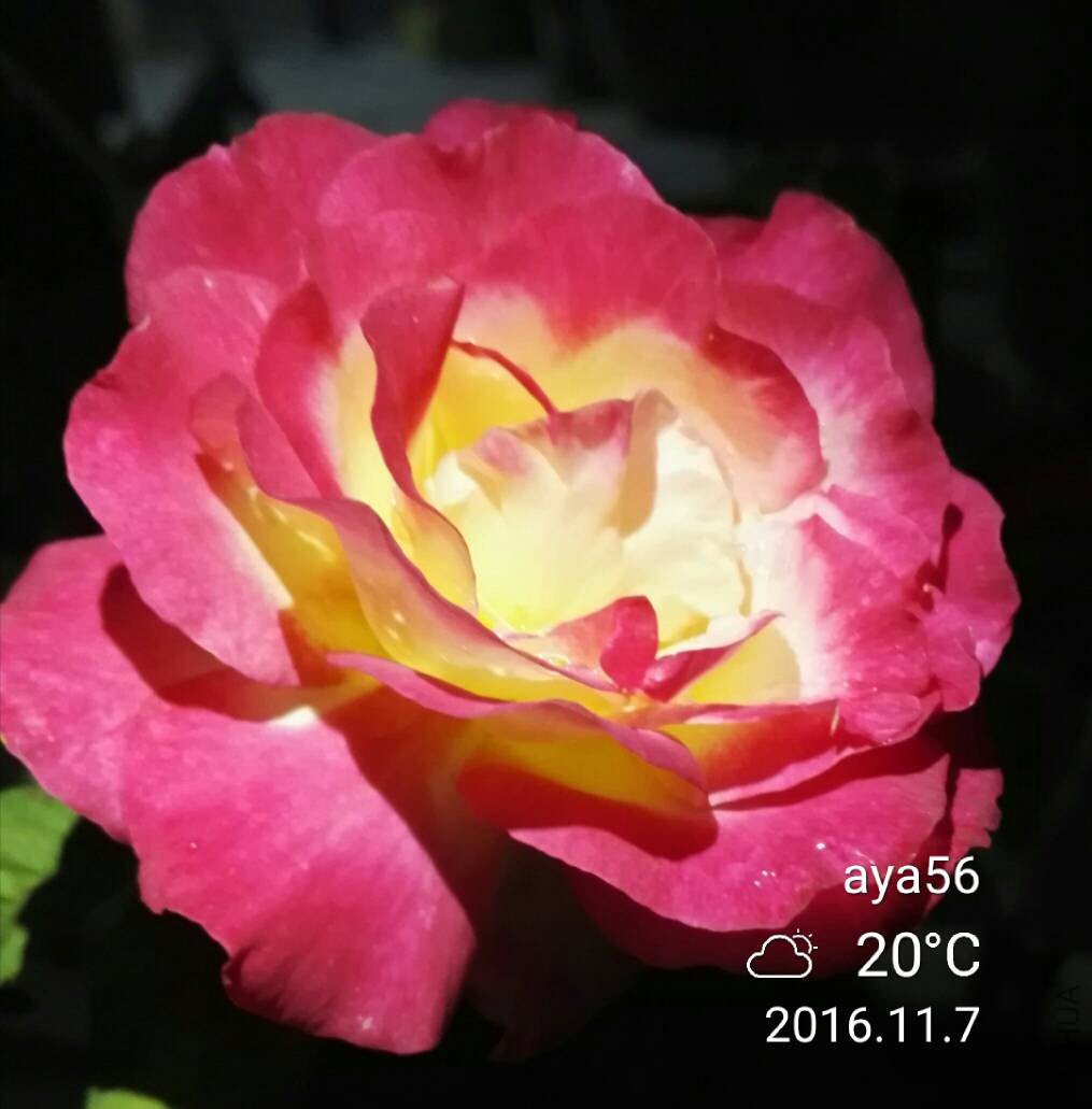 124522nfnt6sbbshdtg7gs.jpg
