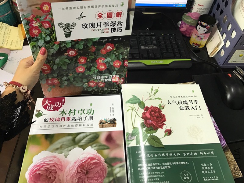 171605y9ffvz90iilb5b0k.jpg