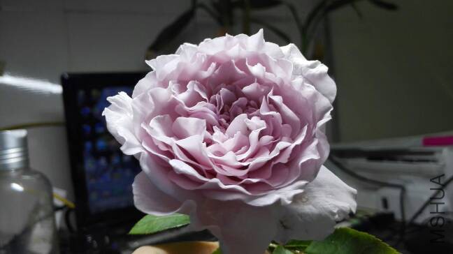 200716mbq4r39j94194zro.jpg