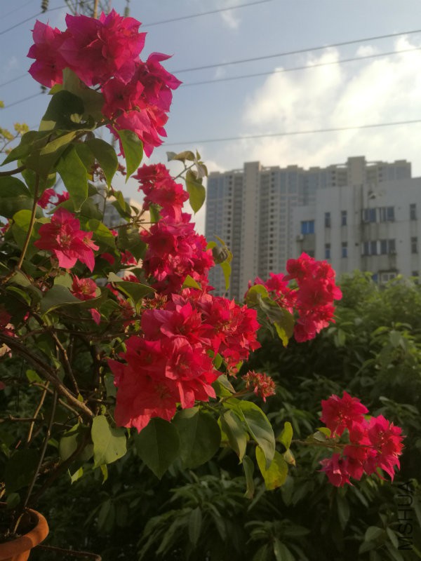 IMG_20161106_161929.jpg