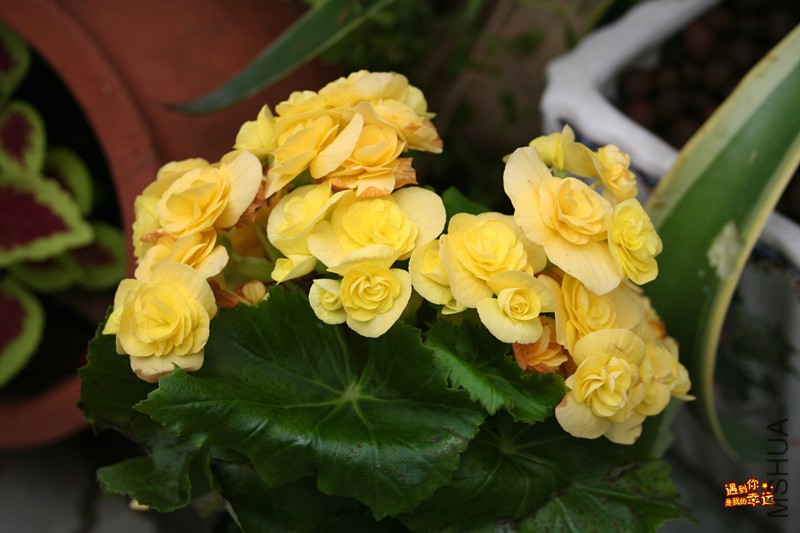 ��Ƭ 104_����.jpg