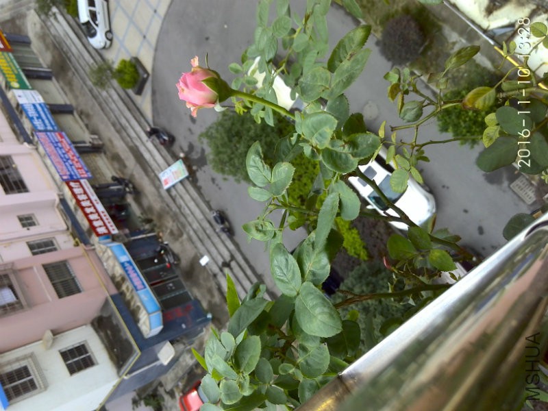 IMG_20161110_132802.jpg
