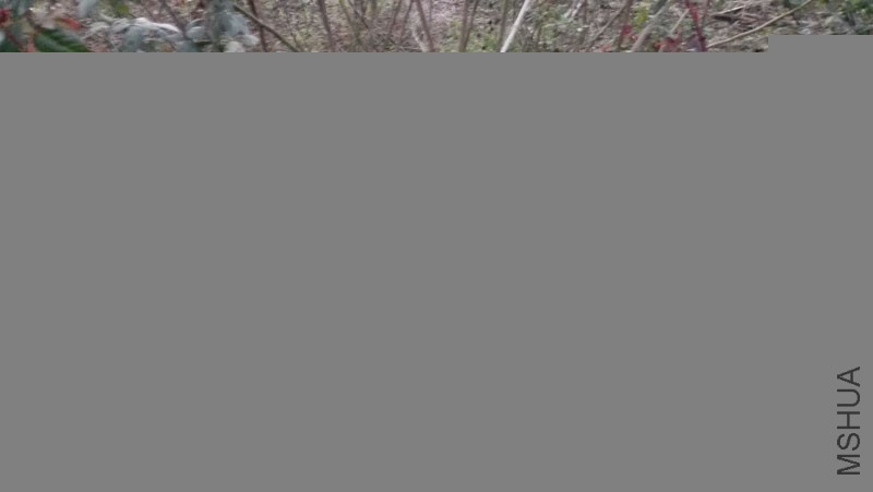 IMG_20161110_172614.jpg