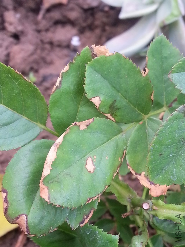 20161110_151620.jpg