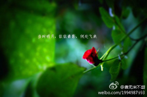 76e919d9jw1dmvr1snsbkj.jpg