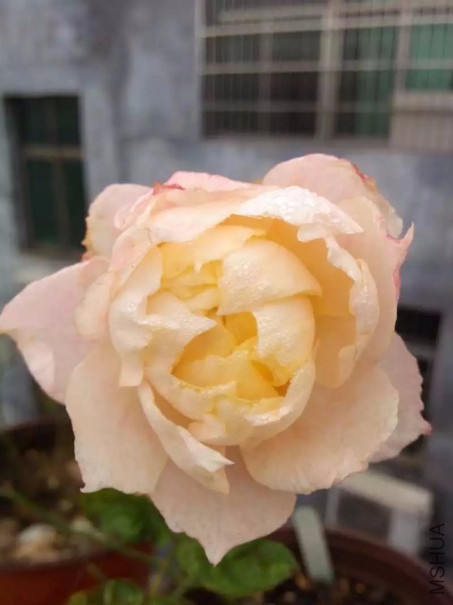 2345_image_file_copy_3.jpg