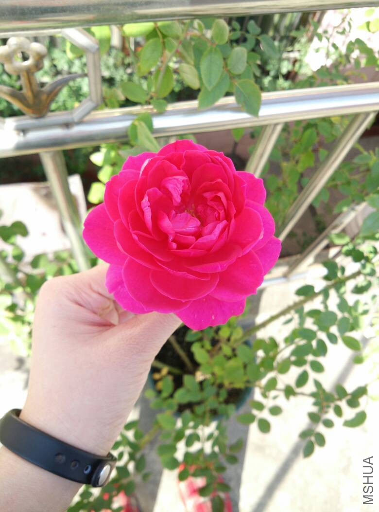 131642bb7d727edxa7ckzd.jpg