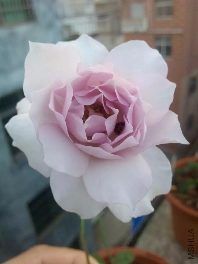 2345_image_file_copy_2.jpg