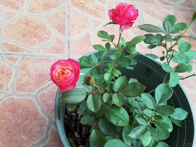 ͼƬ09.jpg