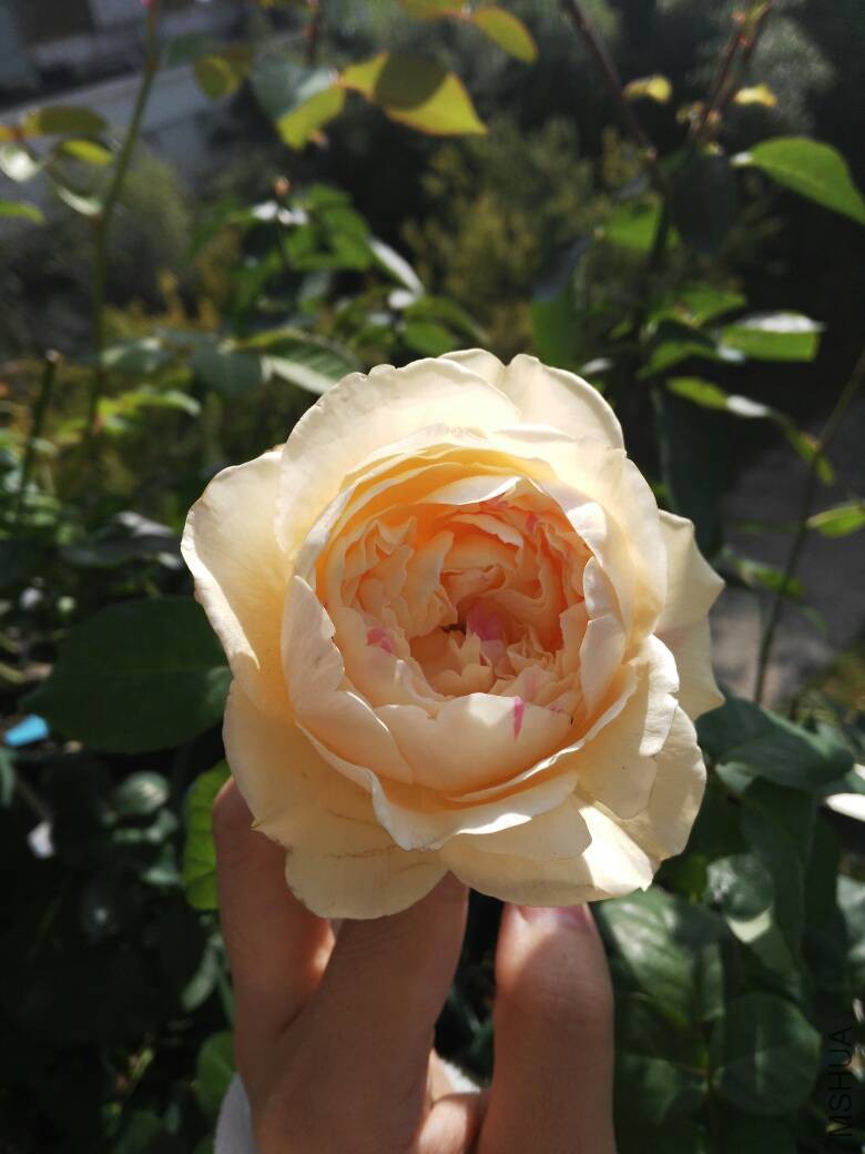 093013x3lflslfo9lqlaqq.jpg