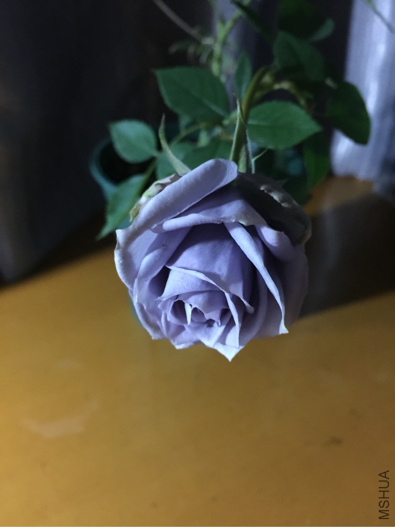 230739ukakkaa9kzpqfmsf.jpg