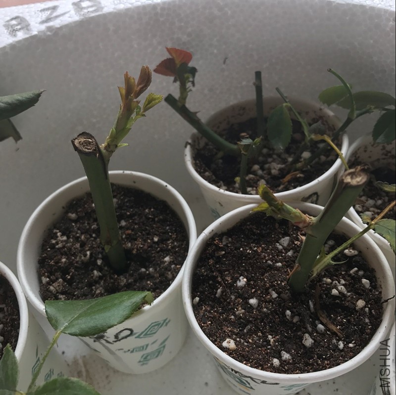 ��10�죬ðҶ��