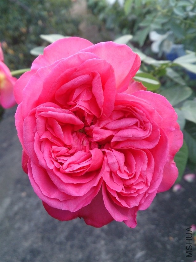 DSC_1141.JPG