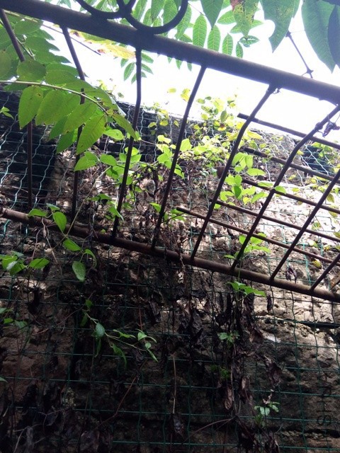 IMG_20161114_113702.jpg