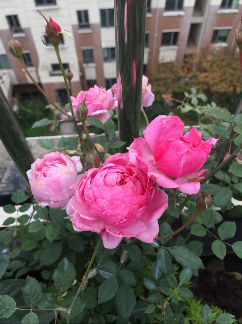 140411pnrn78oh79jqryrf.jpg