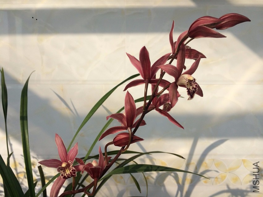 2CA62354-F626-4DF5-A738-EE2DBAD54B5A.JPG