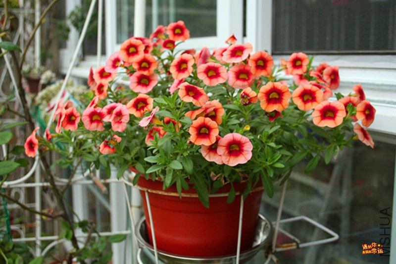 ��Ƭ 001_����.jpg