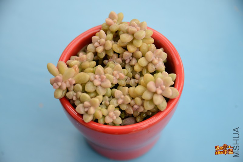 ��Ƭ 004_����.jpg