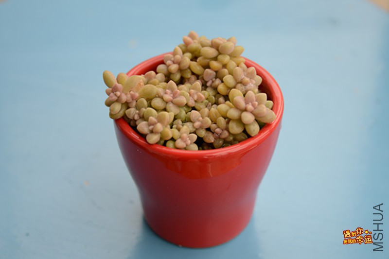 ��Ƭ 002_����.jpg