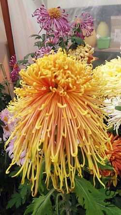 �����Ѿ�ȫ���ķ�������