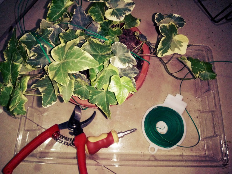 ����������֧�У�¥��������ľ��ǣ�����