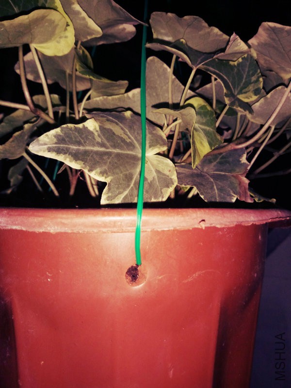 ����������֧��¥��������ľ��ǵ���