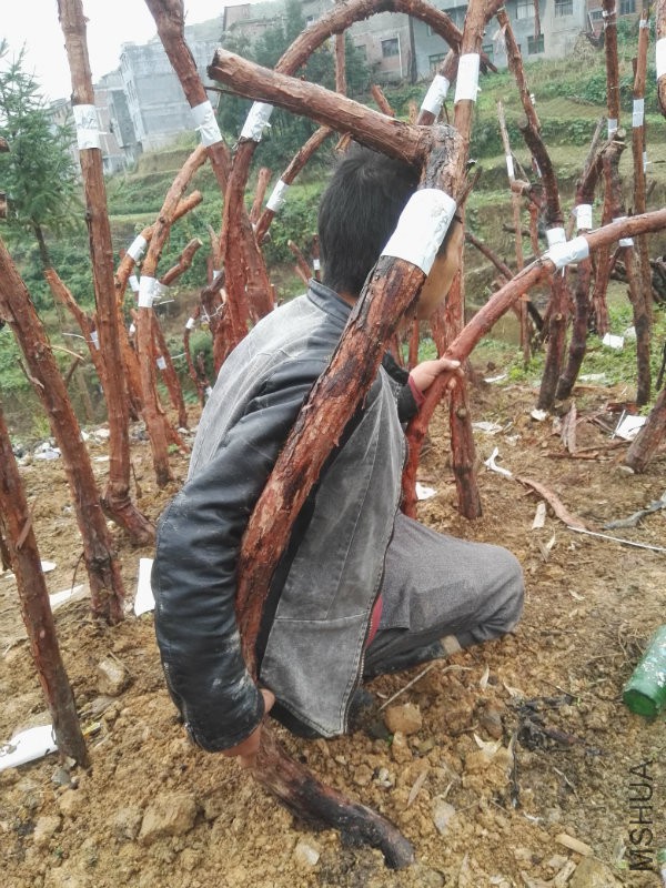 IMG_20161012_144623.jpg