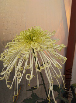 �������������