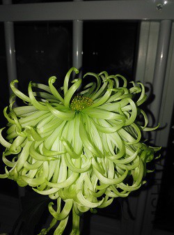 ��ˮ�̲������ر����