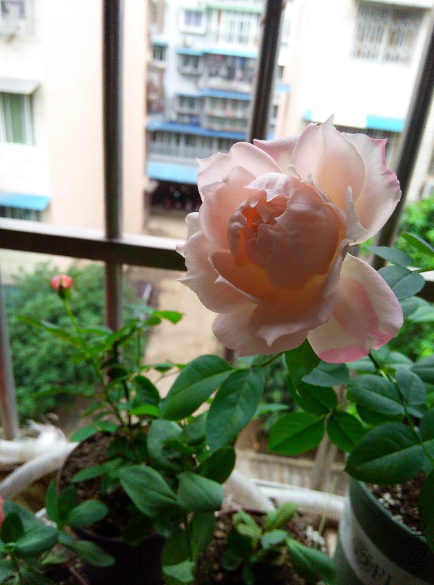 IMG20151005155051.jpg