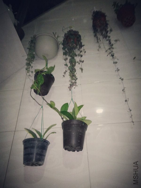 ��������ǽ����������������������Ա��лл���ݻ��ѼĹ���