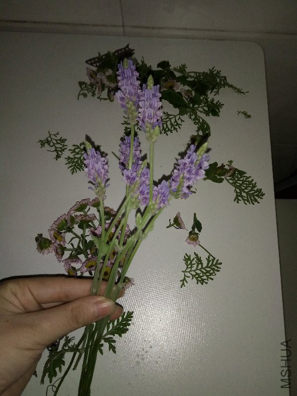 Ϊ���µ����ţ�ȫ������ ������