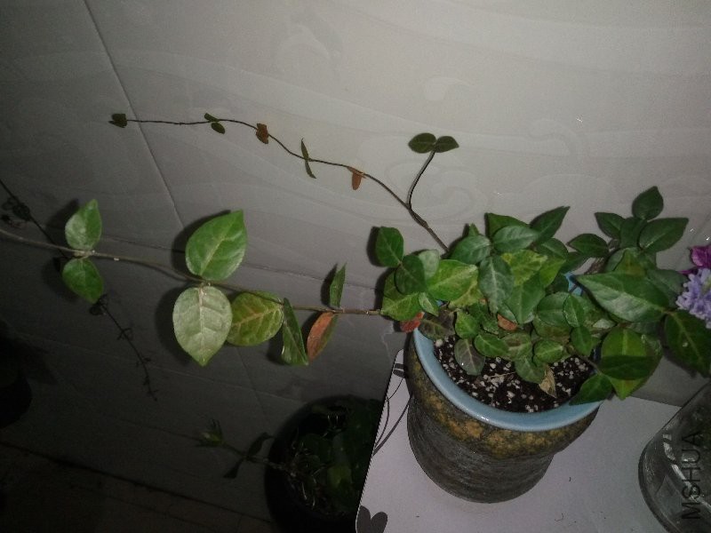 ���Ǯ��ʯ��������