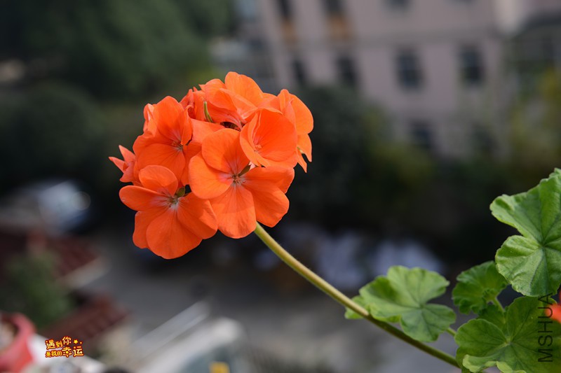 ��Ƭ 094_����.jpg