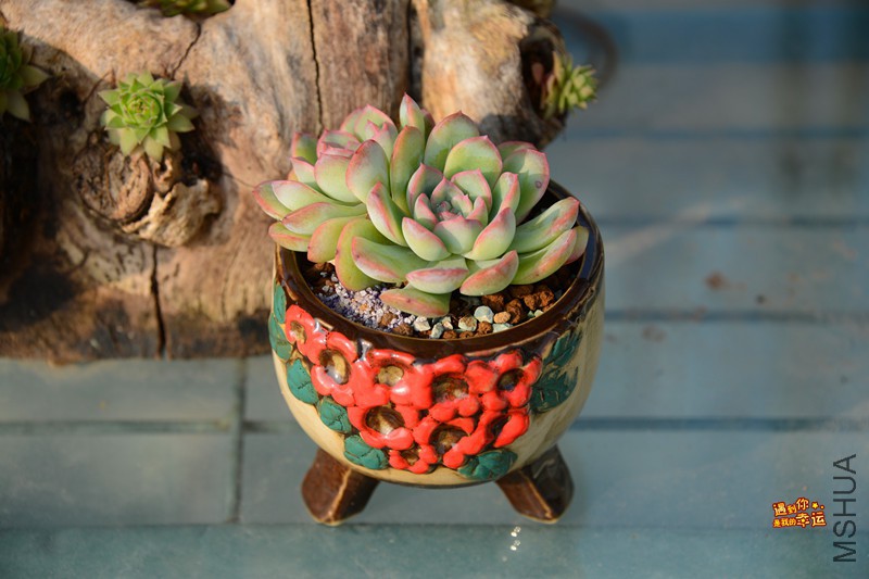 ��Ƭ 175_����.jpg