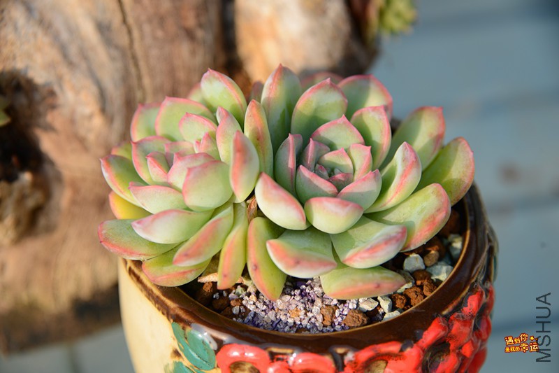 ��Ƭ 176_����.jpg