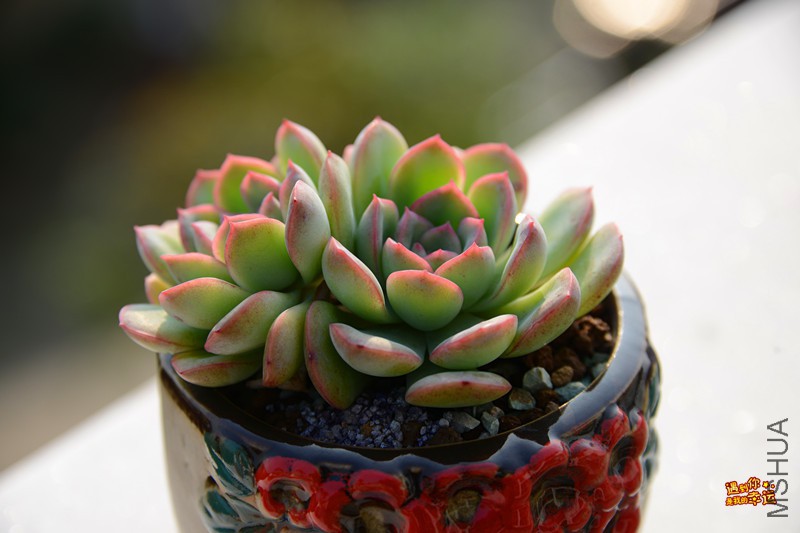 ��Ƭ 181_����.jpg